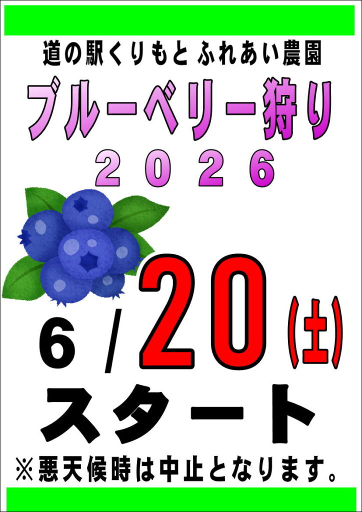 6/20(土)から”ブルーベリー狩り”
